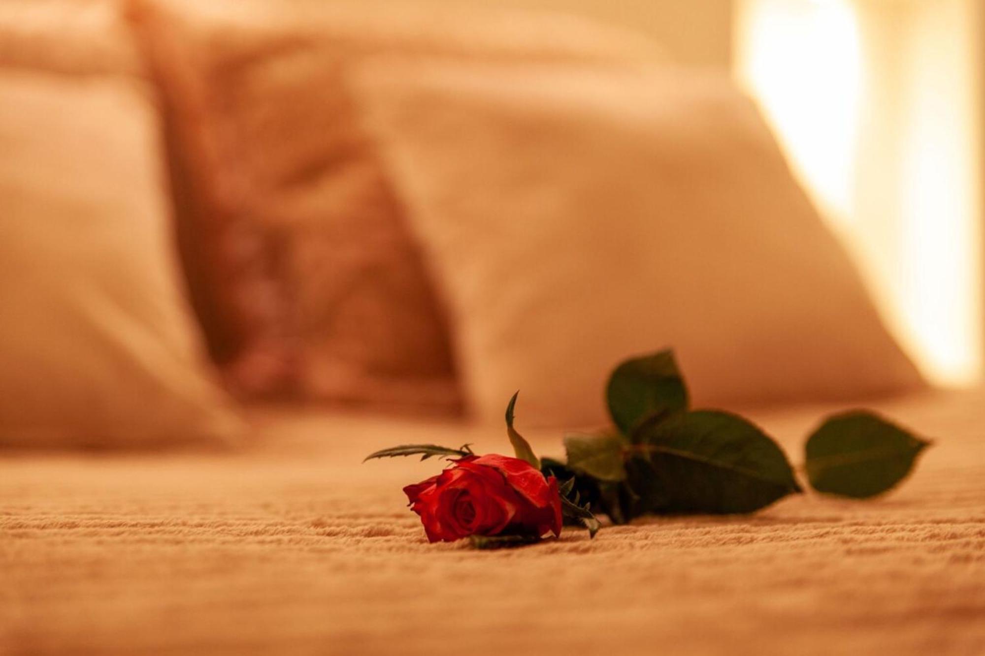 Love Room Perpignan Jacuzzi & Ambiance Romantique Villeneuve-de-la-Raho Luaran gambar